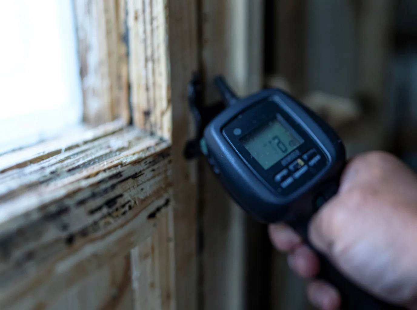 Water Damage Restoration Jackson, MT FAQs